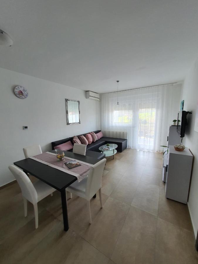 Apartment Vesna Toplice Sveti Martin スヴェティ・マルティン・ナ・ムリ エクステリア 写真